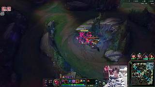 蜘蛛馍：每晚12点直播，不见不散！