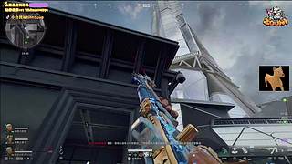 【小白鸽】白天的王来了