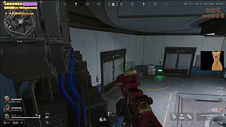 【小白鸽】白天的王来了