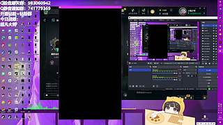 猫猫大王降临！！！！！