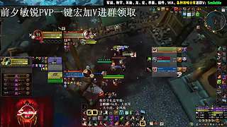 盗贼PVP 2400 攻略分享