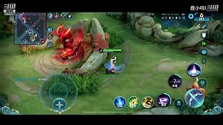 笨鸟先飞  10040721