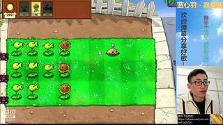 β版植物大战僵尸