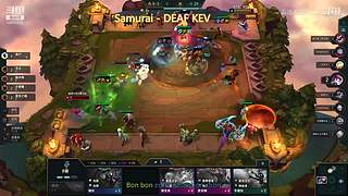 霸道养猫人的直播间