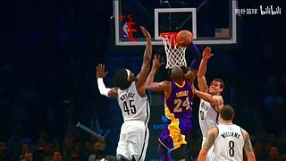 国服最强动物园