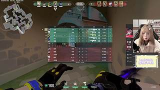 M77：小喵护航出击！