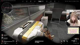 M77：小喵护航出击！