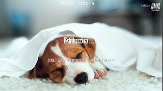 这游戏我能玩一整天