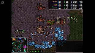 大红袍星际争霸