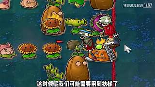 猪哥游戏解说的直播间