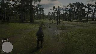 慢慢游a的直播间