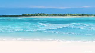 桃花岛主555的直播间