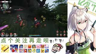 在下林凡，请指教！