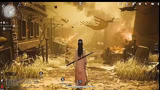 宠物互动，萌宠养成日常