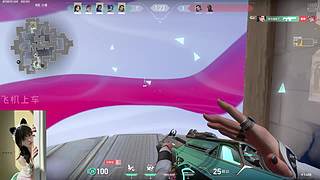 把前天失去的夺回来  11831478