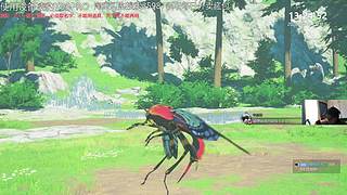 给我擦皮鞋 11921577