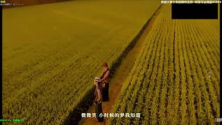 【神乐】祝愿大家前路繁花似锦~所愿皆可得