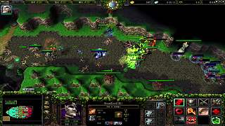 落花粉默逝流年直播间