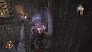 刺激主机单机网路游戏.电子榨菜生化危机9