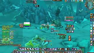 宠物对战全连胜！天梯不败战绩