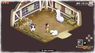 各类单机随机播