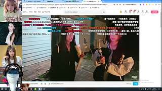 天道酬勤鲨鱼头