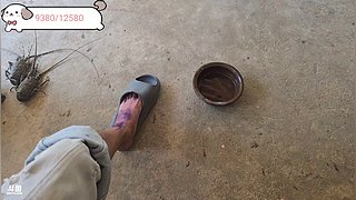 斯里兰卡再出发day49