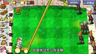 宝子们，开席了！