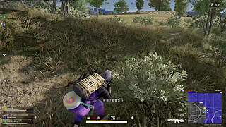 重生之我是黄毛