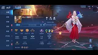 王者荣耀随便玩玩 3513322