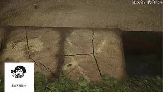 电影级画质，失眠者福音~