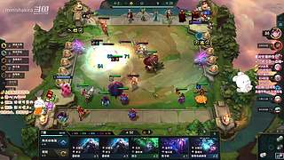 宠物防御战概况宣传大使