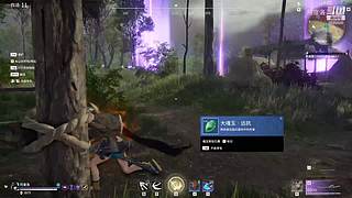 阿度国洛洛公主游塔记