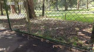 斯里兰卡贫民窟修别墅Day3