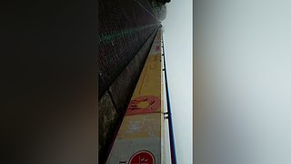 （欢迎加入队伍）