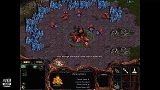 诸葛酒神曲的直播间