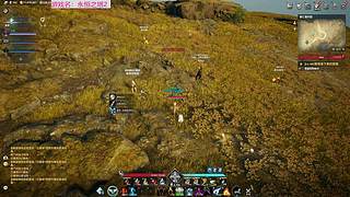 闲了一周放出来了