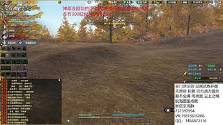 办卡看号 论剑 雨林萌新攻略