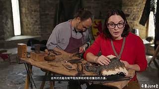 帝国时代4战役剧情