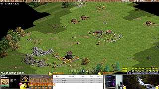 大陆最南徐城鹰少的直播间