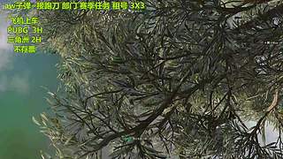 有位~快来一起嗨皮呀~