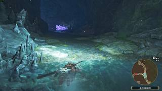 天下第一偷蛋贼！