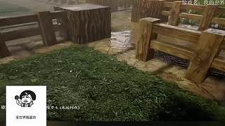 电影级画质，失眠者福音~