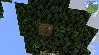 我的世界冬雪生存日记