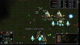 闭眼尊的直播间