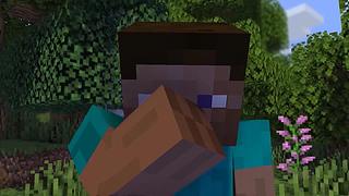 南石带你看不一样的《我的世界》