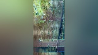 LOLM春风扶杨柳，敢问是段友