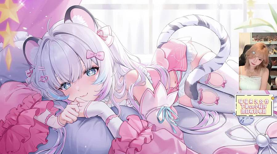 M77：小喵护航出击！