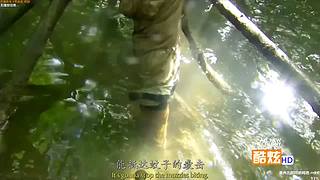 【贝爷】统治食物链顶端的男人~回来啦~！