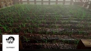 电影级画质，失眠者福音~